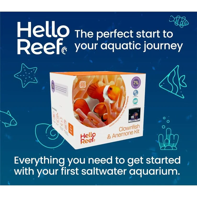 HelloReef Clownfish & Anemone Aquarium Kit - Image 3