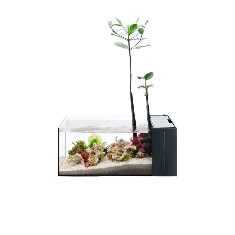 UNS Dual All-In-One 45SA - 5.9 Gallon Dual AIO Rimless Aquarium