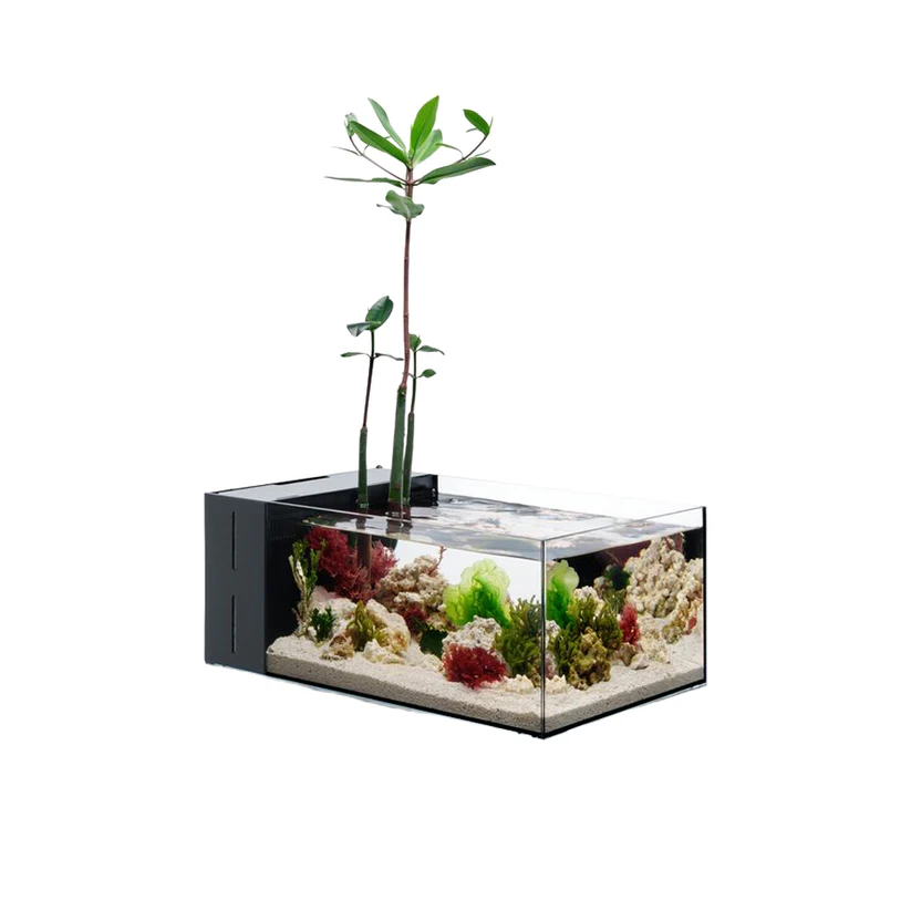 UNS Dual All-In-One 45SA - 5.9 Gallon Dual AIO Rimless Aquarium - Image 2