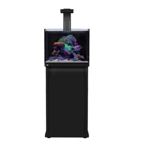 D-D Reef-Pro 600 Deluxe