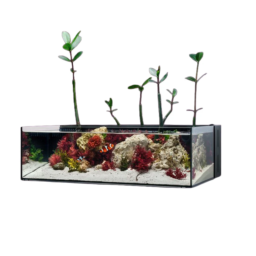 UNS Dual All-In-One 60SA - 10.2 Gallon Dual AIO Rimless Aquarium - Image 2