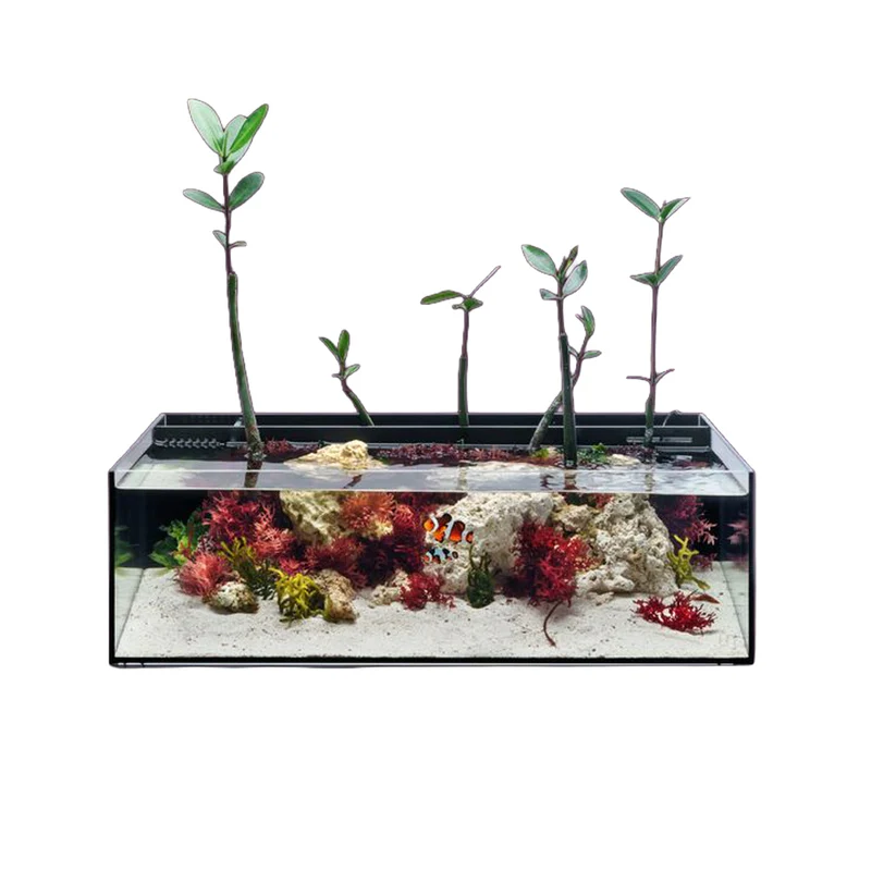 UNS Dual All-In-One 60SA - 10.2 Gallon Dual AIO Rimless Aquarium
