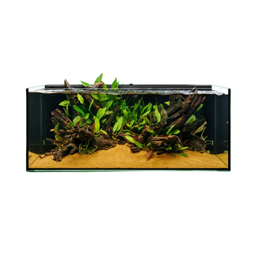 UNS Dual All-In-One 90SA - 47.9 Gallon Dual AIO Rimless Aquarium