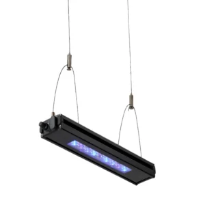 Reefbreeders Edge Marine Strip Light - UV/Blue Hybrid