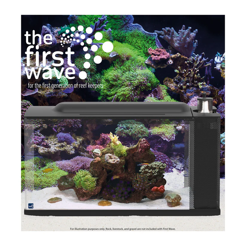 TMC First Wave Aquarium Set + Free Heater - Image 4