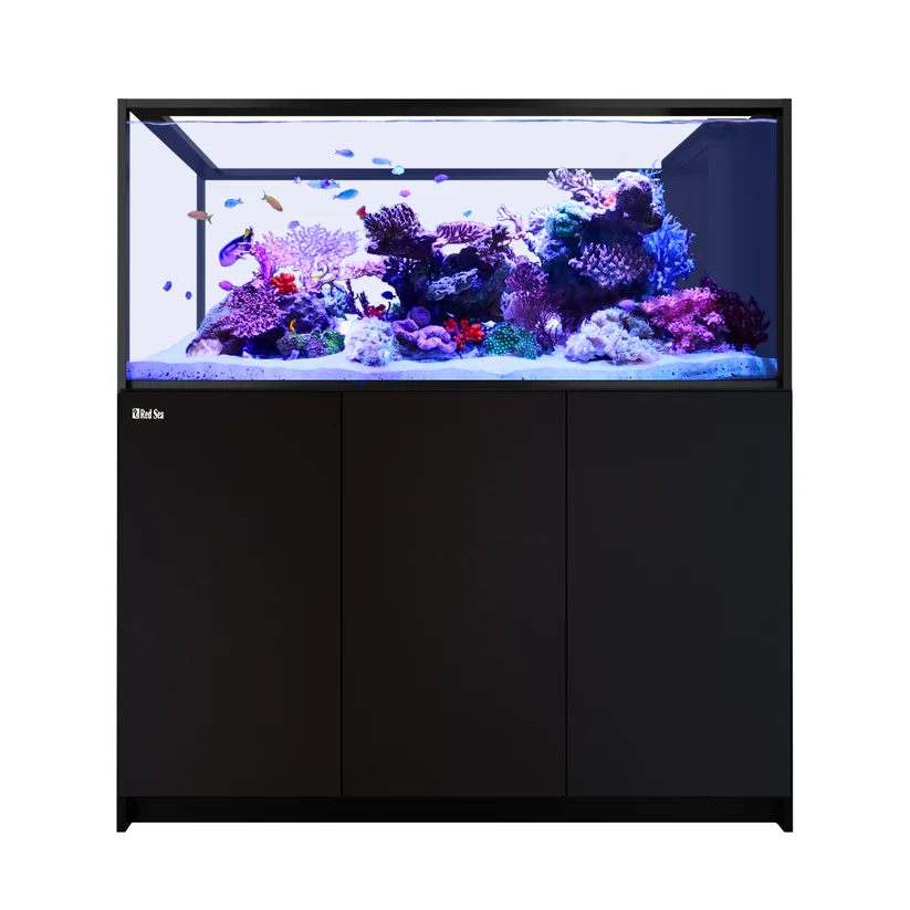 Red Sea Reefer Max G3 Peninsula 700 Aquarium