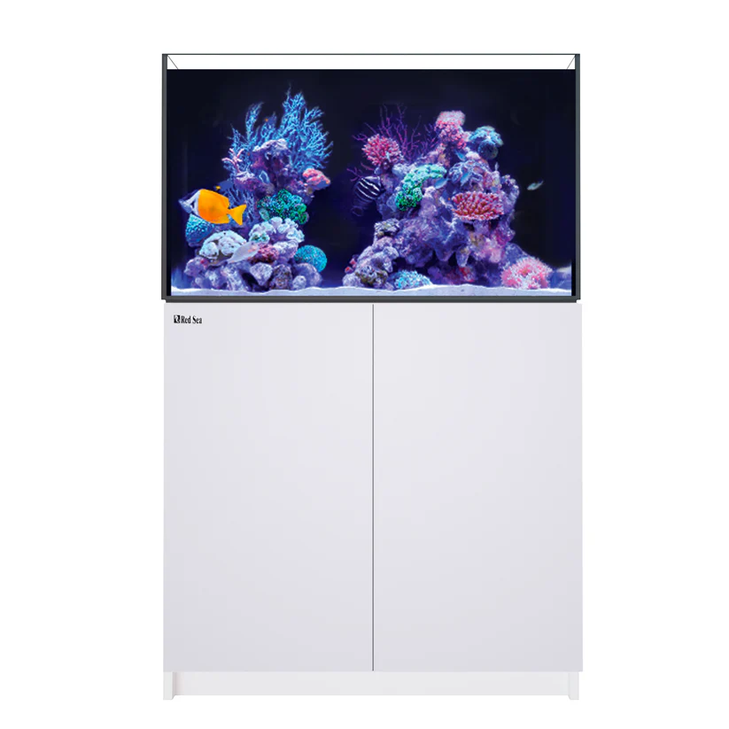 Red Sea Reefer G3 250 Aquarium