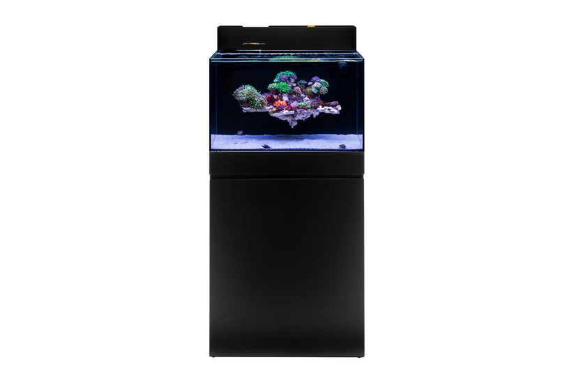 UNS Dual All-In-One 60A Aquarium – 20 Gallon Rimless Tank - Image 3