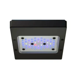 Ecotech Radion XR15w G6 LED Light