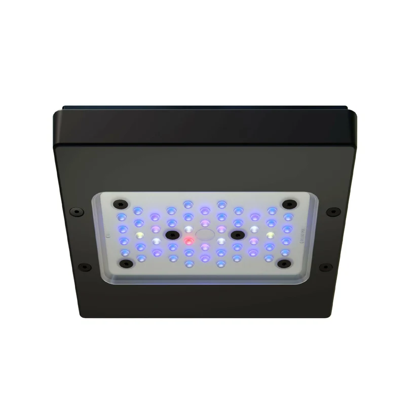 Ecotech Radion XR15w G6 LED Light