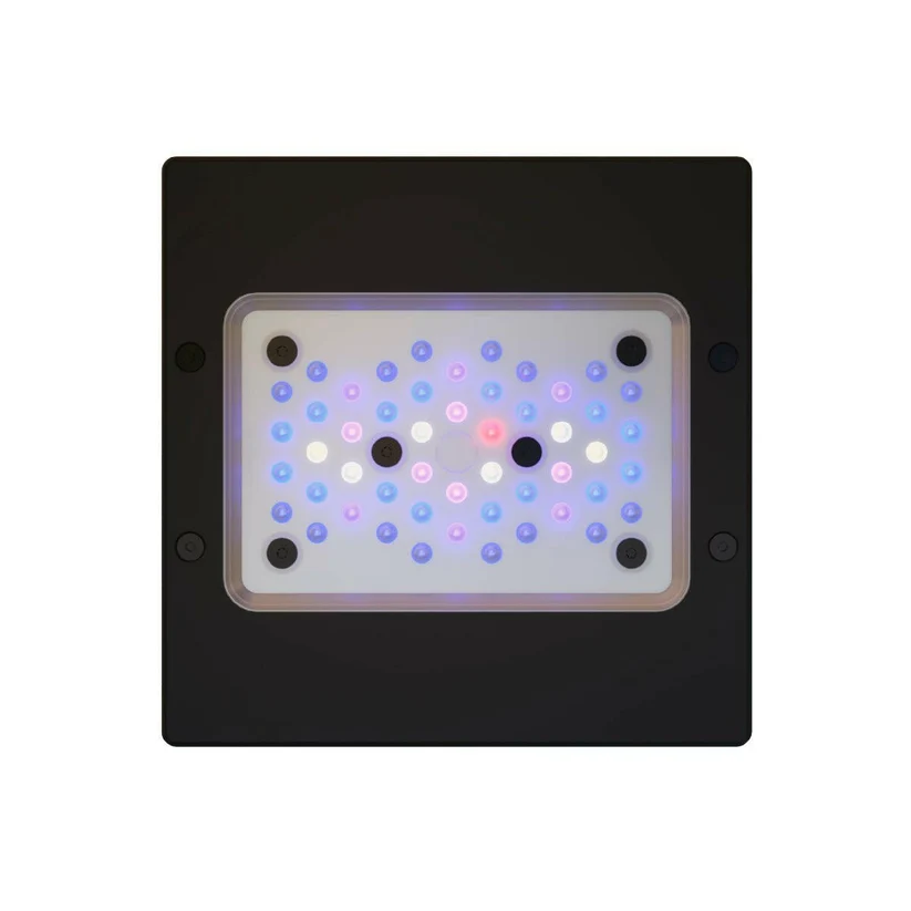 Ecotech Radion XR15w G6 LED Light - Image 2