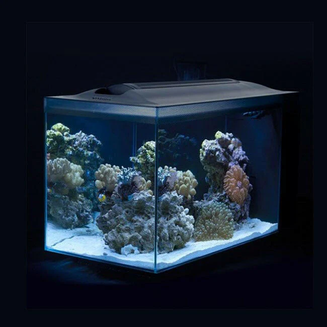Fluval Sea EVO 52L Aquarium Kit - Image 3