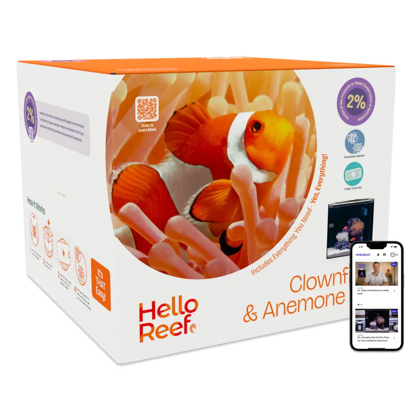HelloReef Clownfish & Anemone Aquarium Kit - Image 4