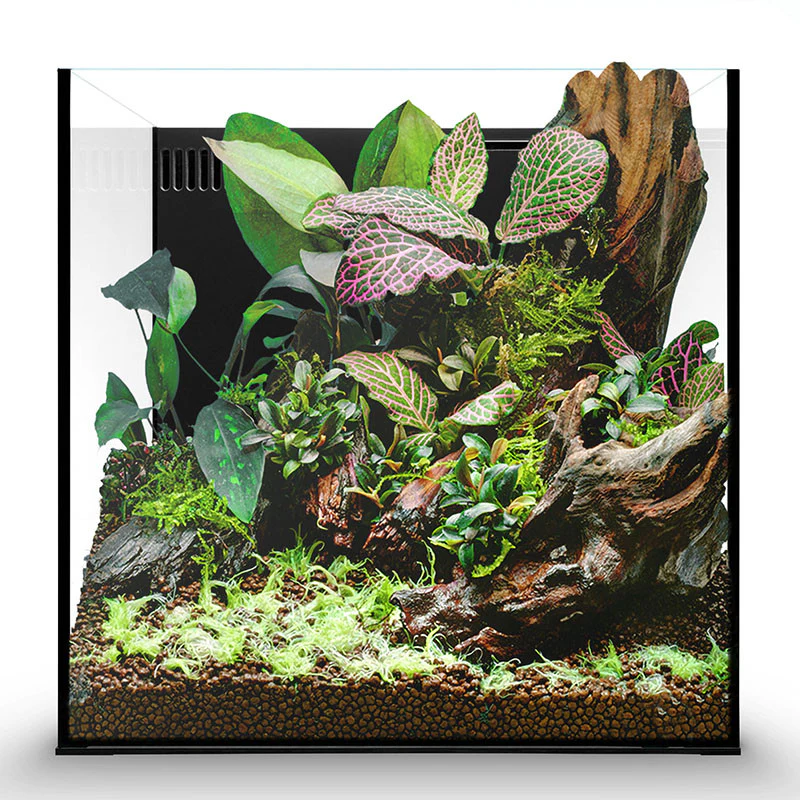 UNS Dual All-In-One 30A Cube Aquarium – 7 Gallon Rimless Tank - Image 2