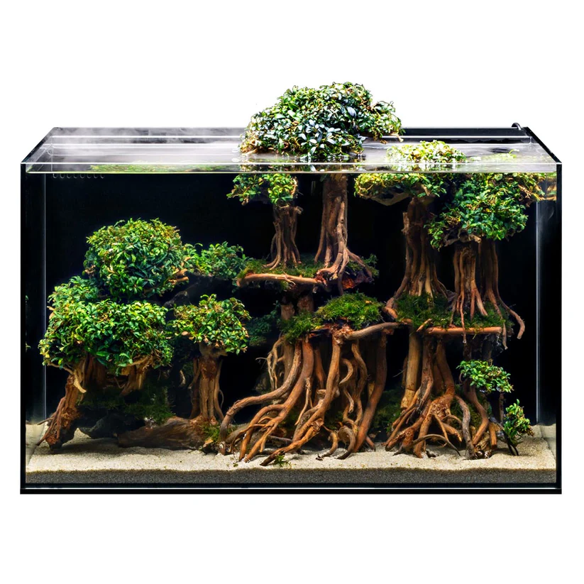UNS Dual All-In-One 60A Aquarium – 20 Gallon Rimless Tank - Image 2